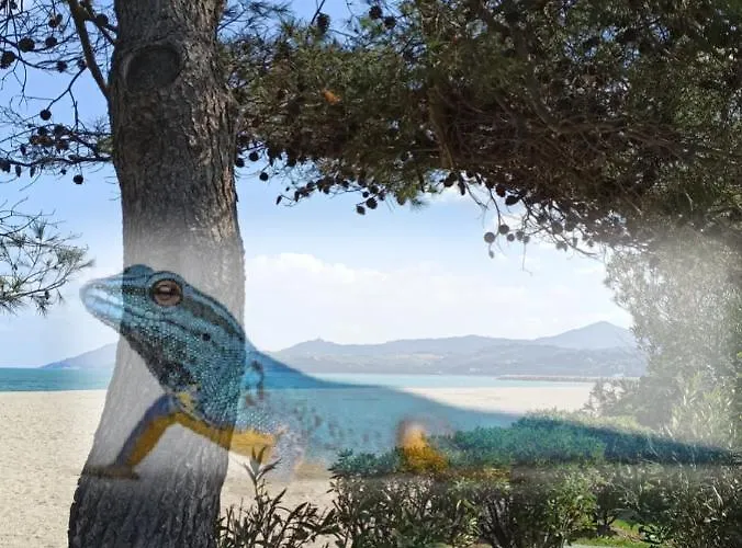 Διαμέρισμα O Gecko Marin T2 Classe Entre Et Village A Pied